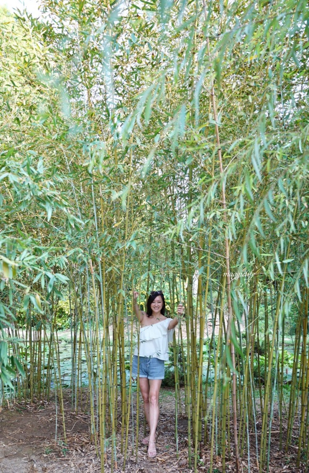 桃園觀音景點，蓮荷園休閒農場，賞蓮花坐大王蓮當拇指公主，盪鞦韆，搭小木船超多美拍場景，還可以吃蓮子冰！