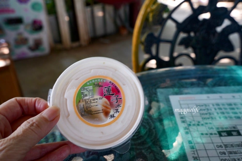 桃園觀音景點，蓮荷園休閒農場，賞蓮花坐大王蓮當拇指公主，盪鞦韆，搭小木船超多美拍場景，還可以吃蓮子冰！