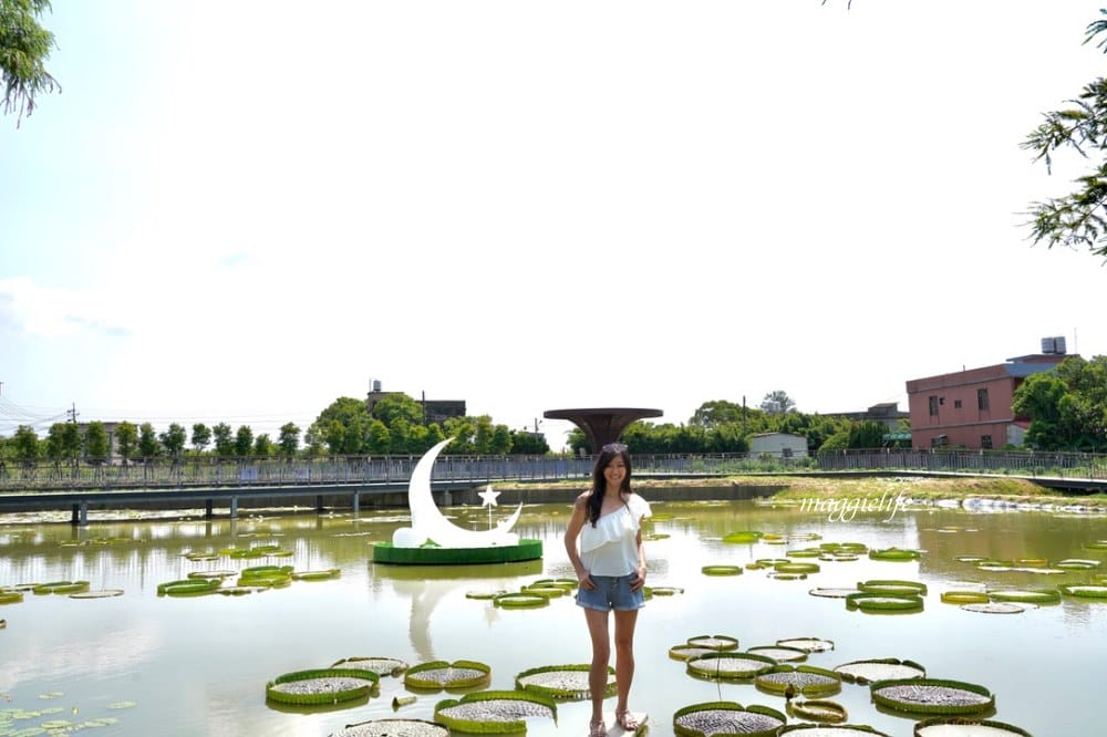 「2023桃園觀音蓮花季」，觀音區蓮花園休閒農業區，賞蓮一日遊，坐大王蓮，時間/地點，IG打卡景點推薦！