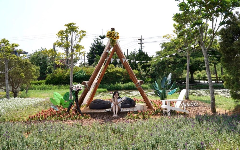 「2023桃園觀音蓮花季」，觀音區蓮花園休閒農業區，賞蓮一日遊，坐大王蓮，時間/地點，IG打卡景點推薦！