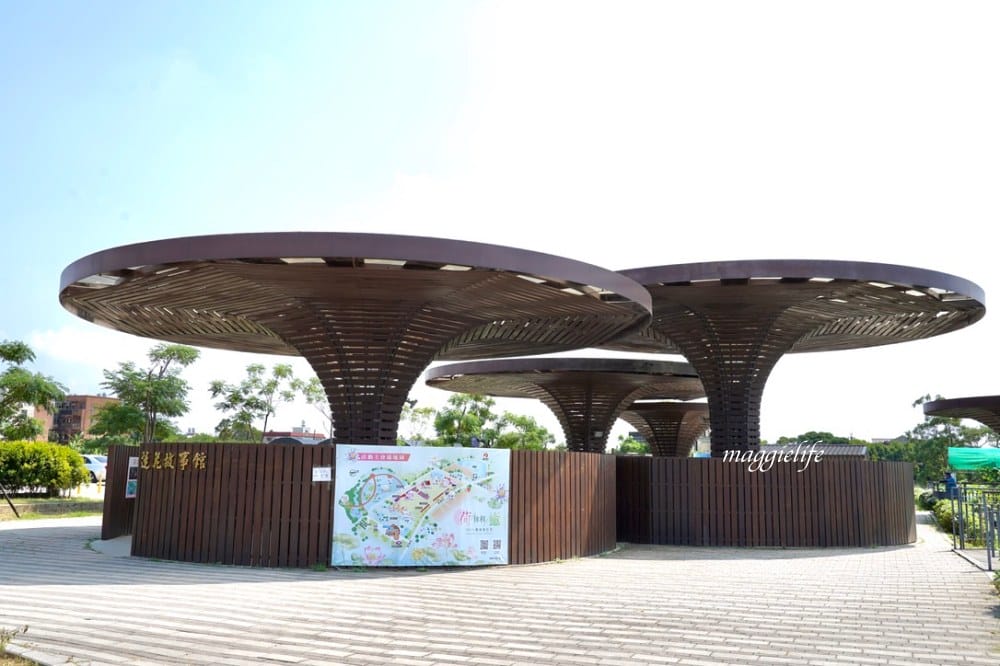「2023桃園觀音蓮花季」，觀音區蓮花園休閒農業區，賞蓮一日遊，坐大王蓮，時間/地點，IG打卡景點推薦！