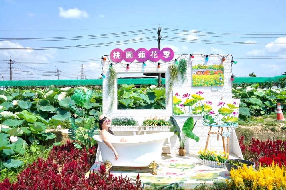 「2023桃園觀音蓮花季」，觀音區蓮花園休閒農業區，賞蓮一日遊，坐大王蓮，時間/地點，IG打卡景點推薦！