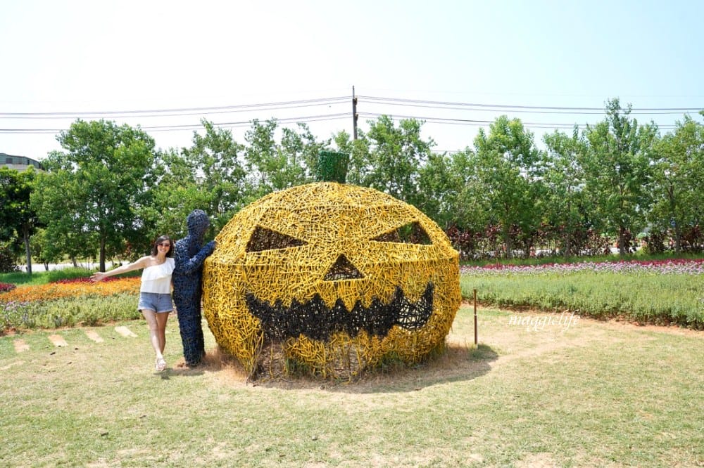 「2023桃園觀音蓮花季」，觀音區蓮花園休閒農業區，賞蓮一日遊，坐大王蓮，時間/地點，IG打卡景點推薦！