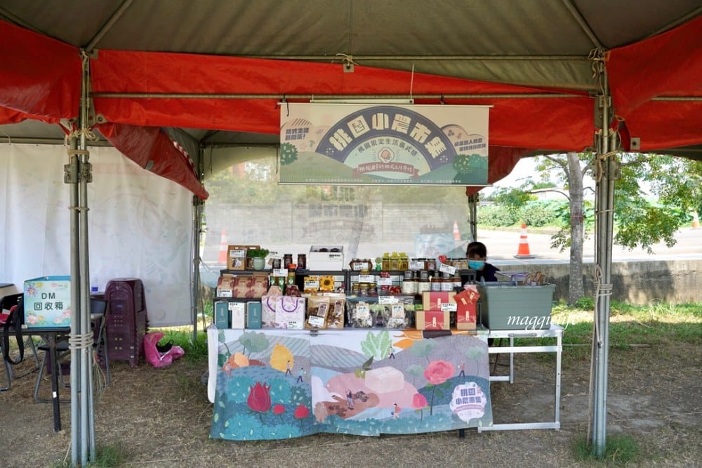 「2023桃園觀音蓮花季」，觀音區蓮花園休閒農業區，賞蓮一日遊，坐大王蓮，時間/地點，IG打卡景點推薦！