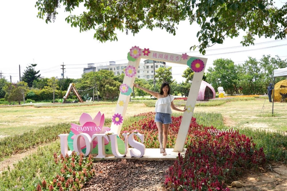 「2023桃園觀音蓮花季」，觀音區蓮花園休閒農業區，賞蓮一日遊，坐大王蓮，時間/地點，IG打卡景點推薦！