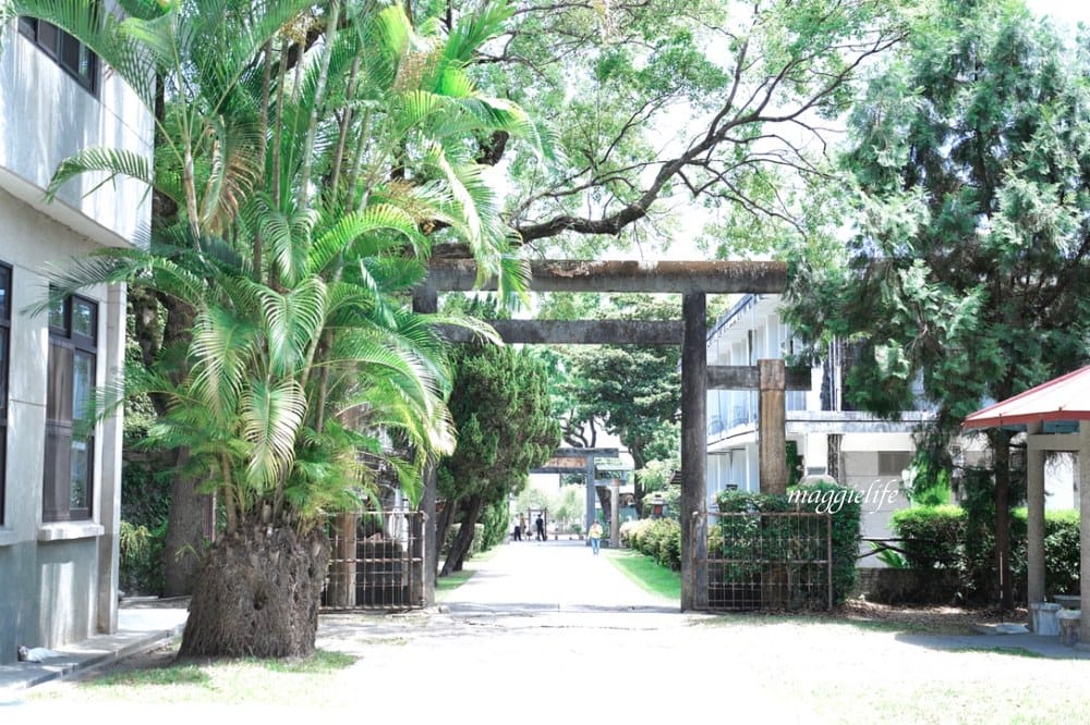 花蓮新城景點|新城天主教堂，諾亞方舟造型教堂好好拍，花蓮網美秘境，免門票景點！