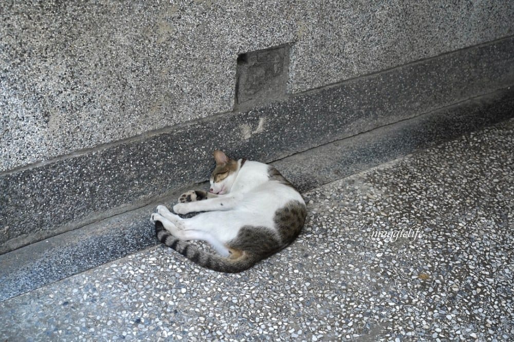 花蓮新城景點|新城天主教堂，諾亞方舟造型教堂好好拍，花蓮網美秘境，免門票景點！
