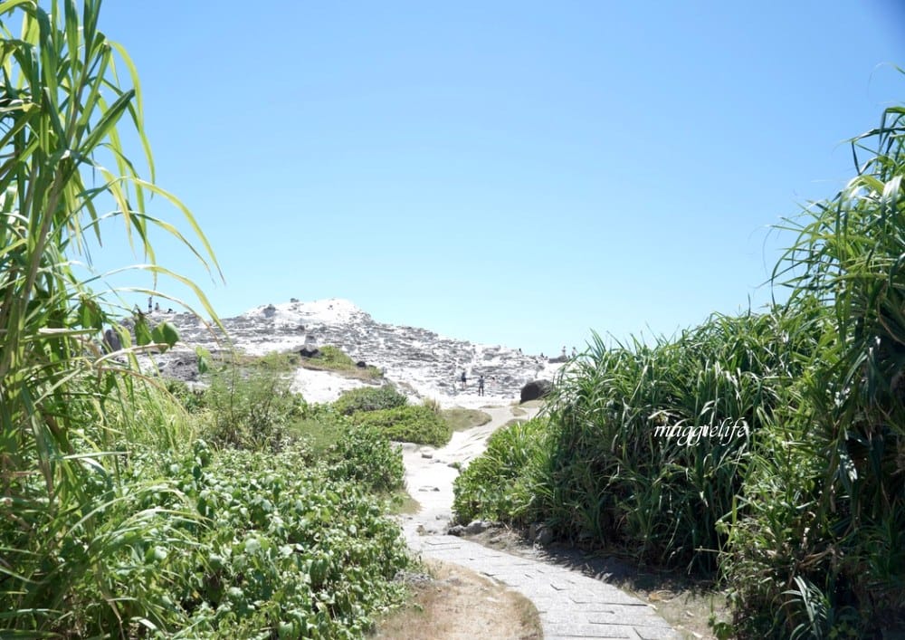 花蓮|石梯坪遊憩風景區，世界級地質教室，超級無敵海岸線海景，免費景點！