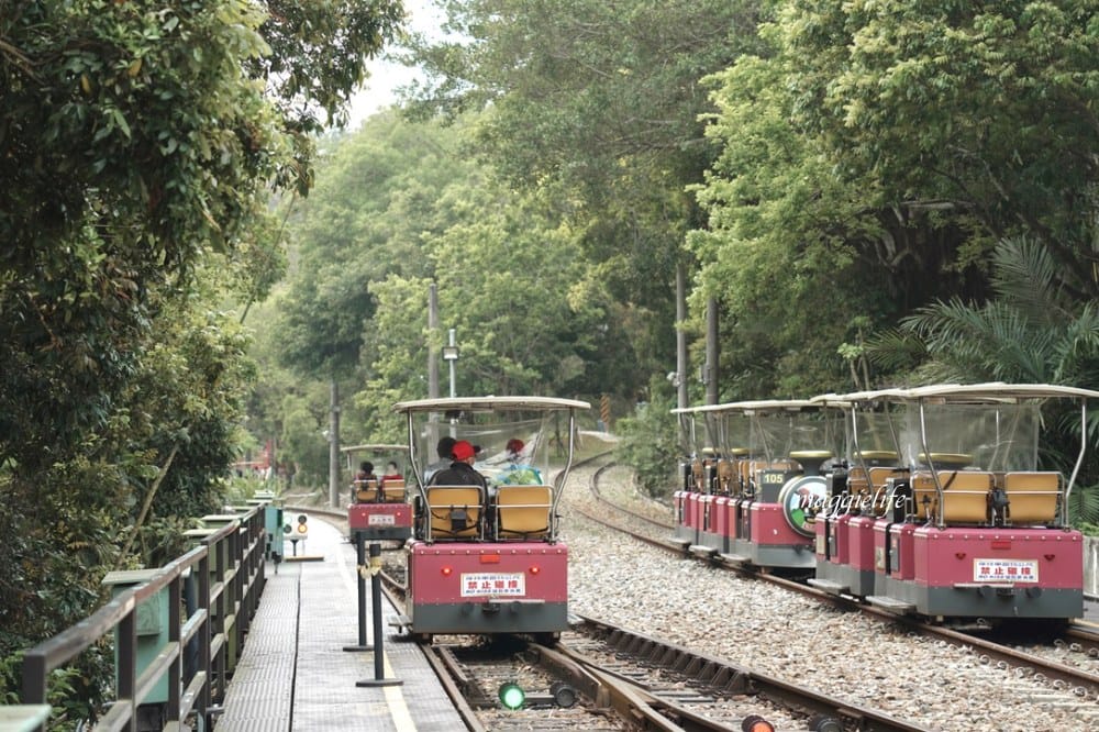 【苗栗】 苗栗舊山線鐵道自行車，龍騰斷橋，勝興車站，勝興老街，新玩法教你一次通通都玩到！