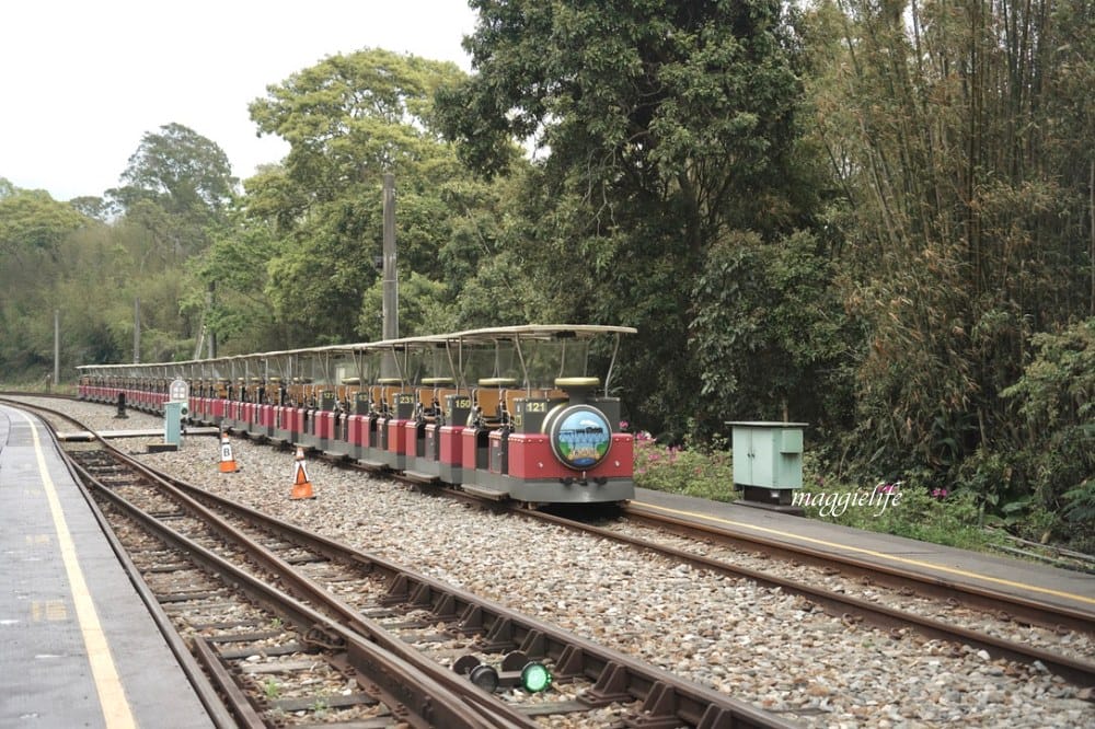 【苗栗】 苗栗舊山線鐵道自行車，龍騰斷橋，勝興車站，勝興老街，新玩法教你一次通通都玩到！
