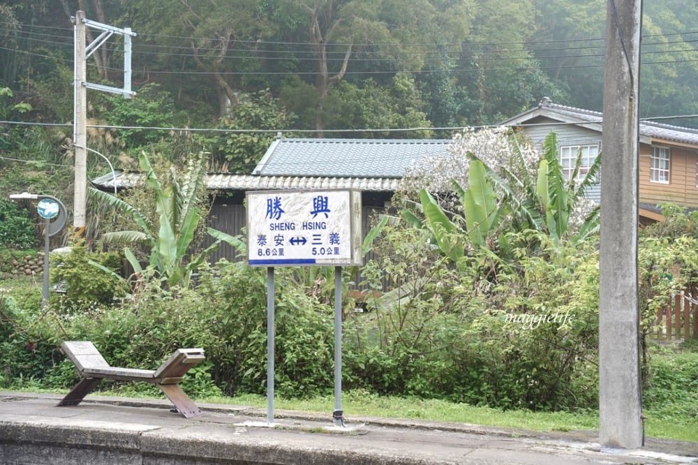 【苗栗】 苗栗舊山線鐵道自行車，龍騰斷橋，勝興車站，勝興老街，新玩法教你一次通通都玩到！