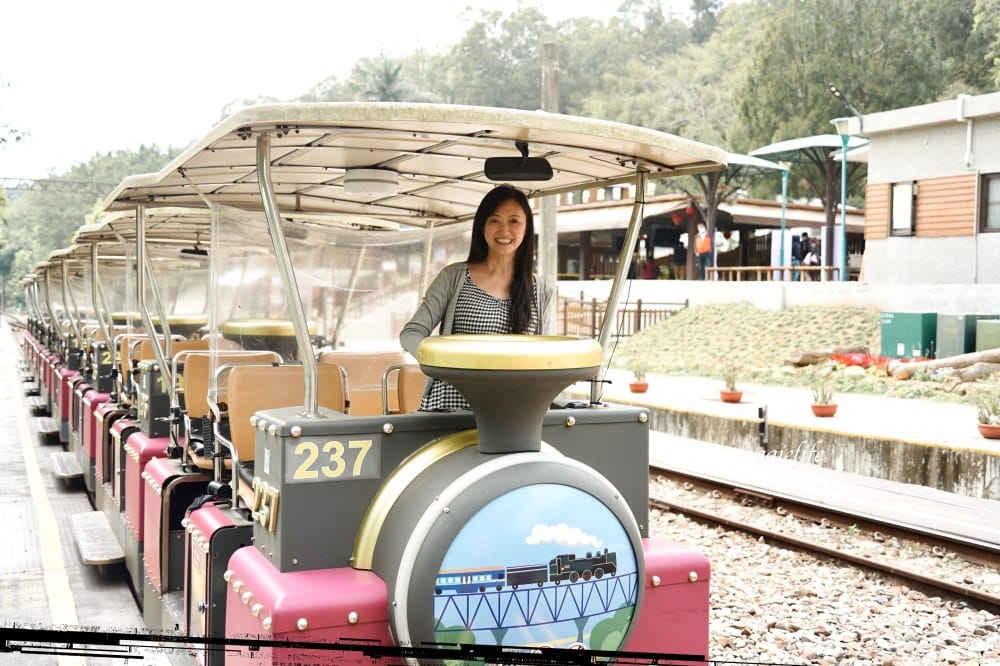 【苗栗】 苗栗舊山線鐵道自行車,龍騰斷橋,勝興車站,勝興老街,新玩法教你一次通通都玩到! - 第12張圖 【苗栗】 苗栗舊山線鐵道自行車,龍騰斷橋,勝興車站,勝興老街,新玩法教你一次通通都玩到!