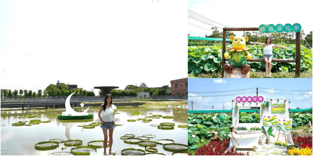 「2023桃園觀音蓮花季」，觀音區蓮花園休閒農業區，賞蓮一日遊，坐大王蓮，時間/地點，IG打卡景點推薦！