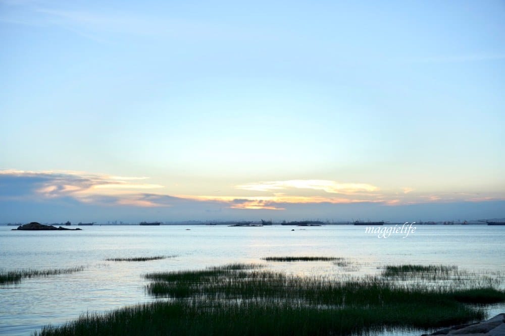 金門景點|馬山三角堡 ，金門秘境看夕陽，乳牛加上爆炸美夕陽
