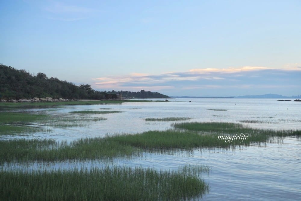 金門景點|馬山三角堡 ，金門秘境看夕陽，乳牛加上爆炸美夕陽