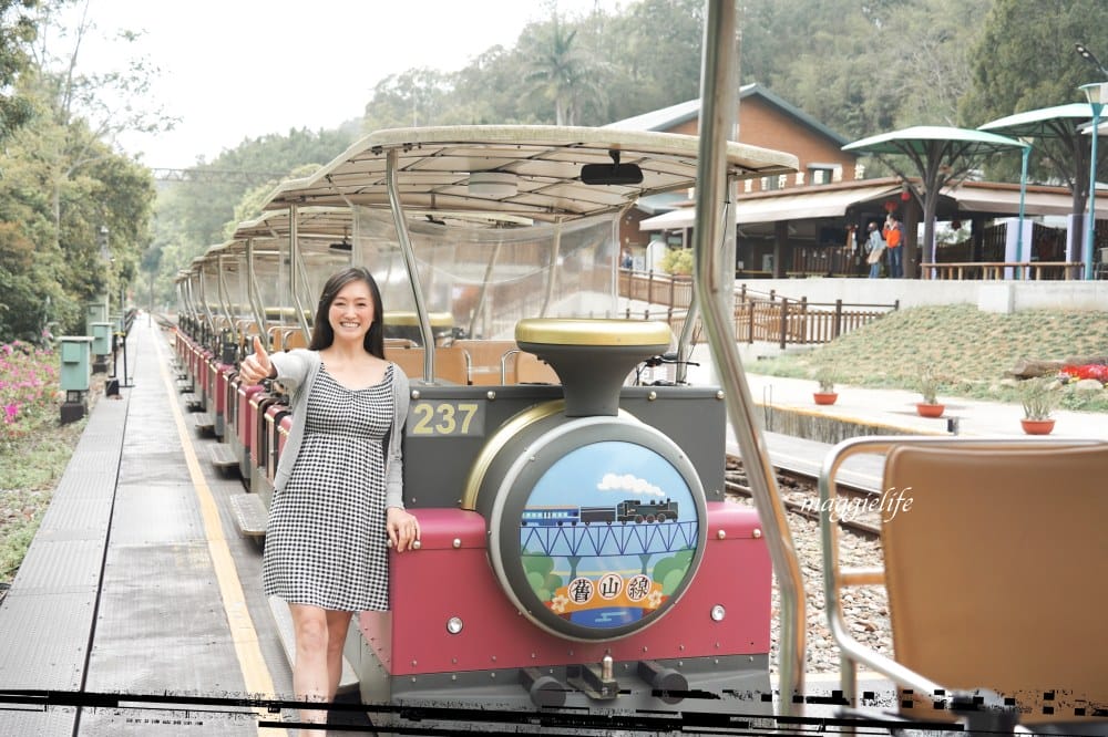 【苗栗】 苗栗舊山線鐵道自行車,龍騰斷橋,勝興車站,勝興老街,新玩法教你一次通通都玩到! - 第10張圖