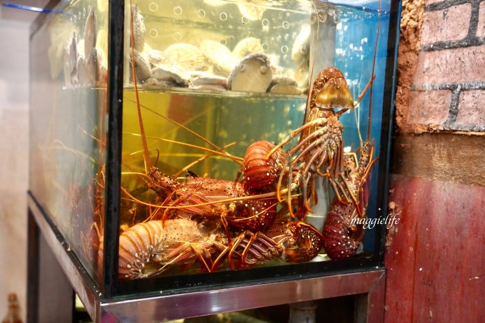 台北善導寺美食|雅竹鐵板料理，全台北CP值最高，超肥活龍蝦，A5和牛，干貝鮑魚，生日慶生/父親節/母親節/情人節來這裡就對了！！