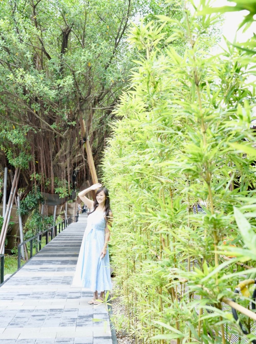 好丘貝果插旗榕錦生活園區日式老宅，「On The Road在路上」台北城南絕美360度玻璃屋一秒到法國 ， 還有超萌的厚將貝果！