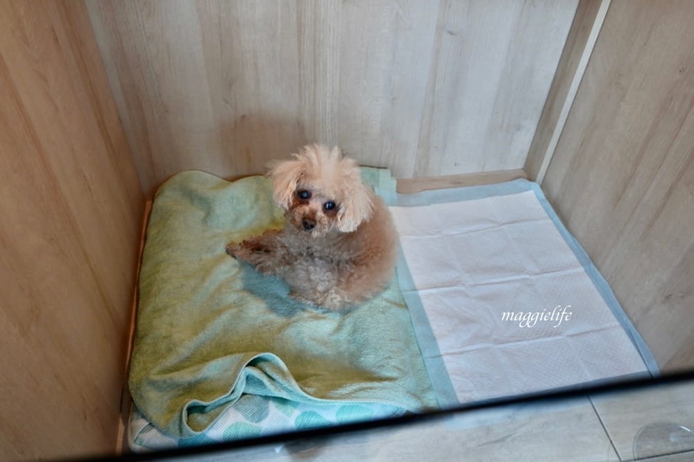 宜蘭礁溪寒沐酒店，礁溪溫泉飯店推薦，礁溪親子飯店MU JIAO XI HOTEL，自助早餐超讚，泳池泡湯，VR體驗，兒童遊戲室，礁溪親子溫泉飯店推薦