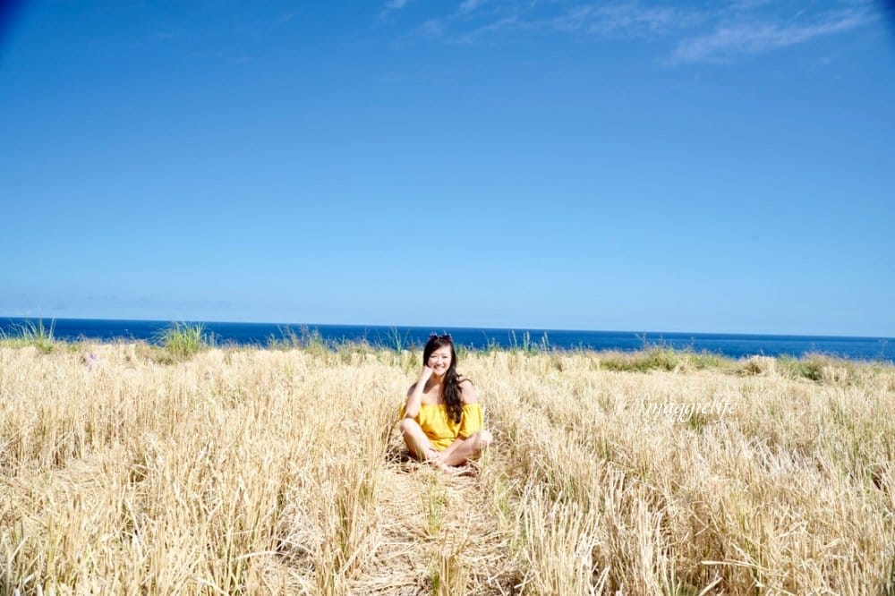 花蓮｜新社梯田，無敵太平洋海景超美藍天，浪漫鞦韆，免費景點，一大片稻田超美的！