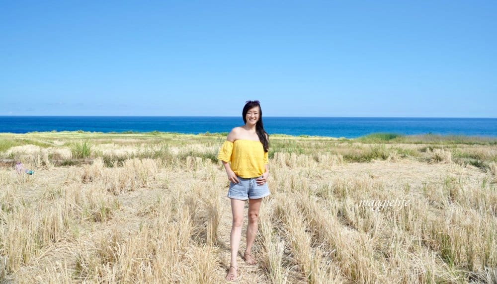 花蓮｜新社梯田，無敵太平洋海景超美藍天，浪漫鞦韆，免費景點，一大片稻田超美的！