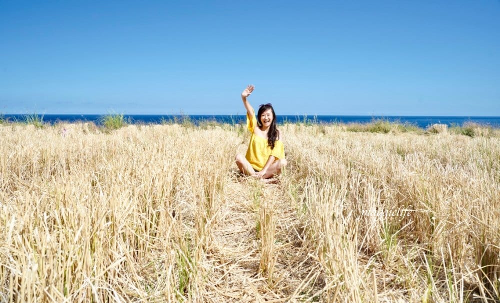 花蓮｜新社梯田，無敵太平洋海景超美藍天，浪漫鞦韆，免費景點，一大片稻田超美的！