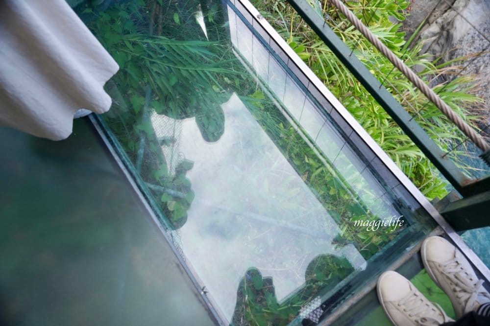 花蓮豐濱|親不知子天空步道,透明玻璃天空步道,觀賞超級無敵海景! - 第35張圖 花蓮豐濱|親不知子天空步道,透明玻璃天空步道,觀賞超級無敵海景!