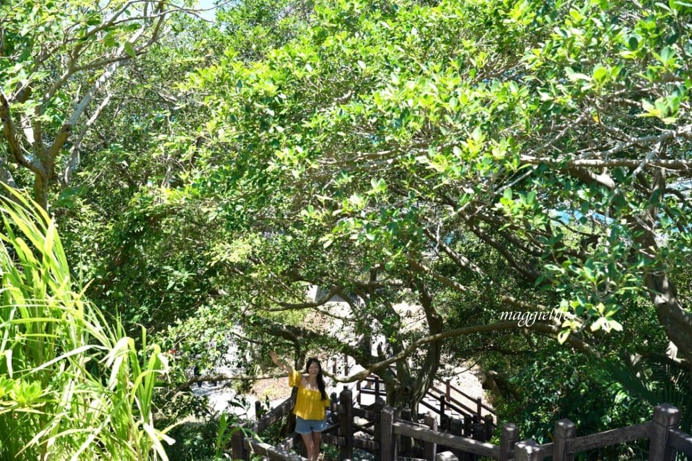 花蓮景點| 石門麻糬洞March洞，石門遊憩區免費景點，一線天，三大IG打卡景點一起拍，台11線大自然景點秘境！