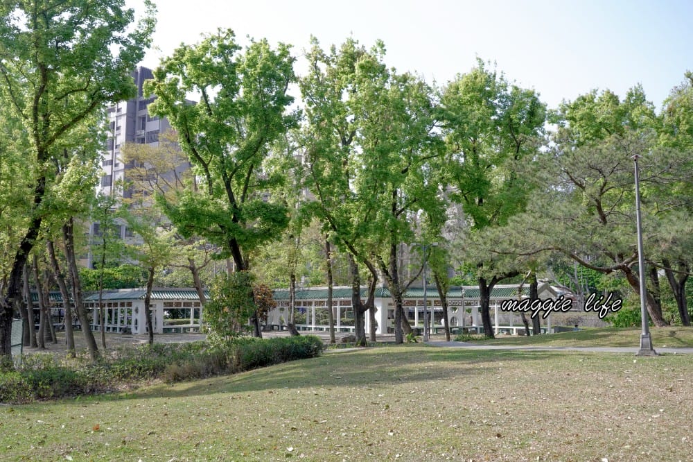 北投復興公園免費泡腳池，北投親子免費木造城堡遊戲場推薦，新北投站免費親子景點