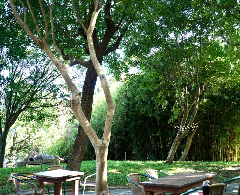 北投森林系景觀咖啡｜藝大咖啡，在樹林裡喝咖啡，眺望關渡平原，超療癒的！