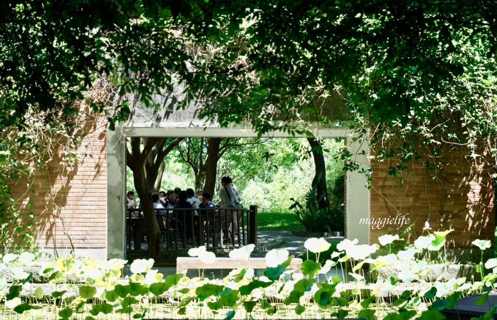 北投森林系景觀咖啡｜藝大咖啡，在樹林裡喝咖啡，眺望關渡平原，超療癒的！