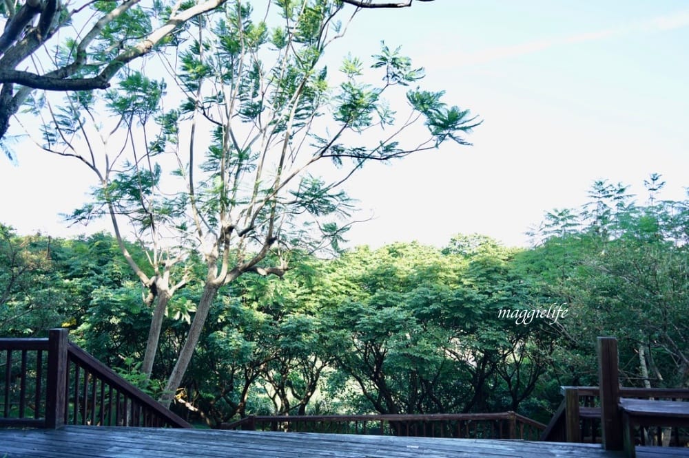 北投森林系景觀咖啡｜藝大咖啡，在樹林裡喝咖啡，眺望關渡平原，超療癒的！