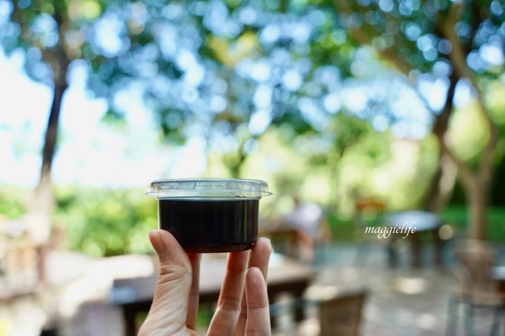 北投森林系景觀咖啡｜藝大咖啡，在樹林裡喝咖啡，眺望關渡平原，超療癒的！