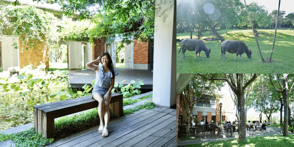 北投森林系景觀咖啡｜藝大咖啡，在樹林裡喝咖啡，眺望關渡平原，超療癒的！