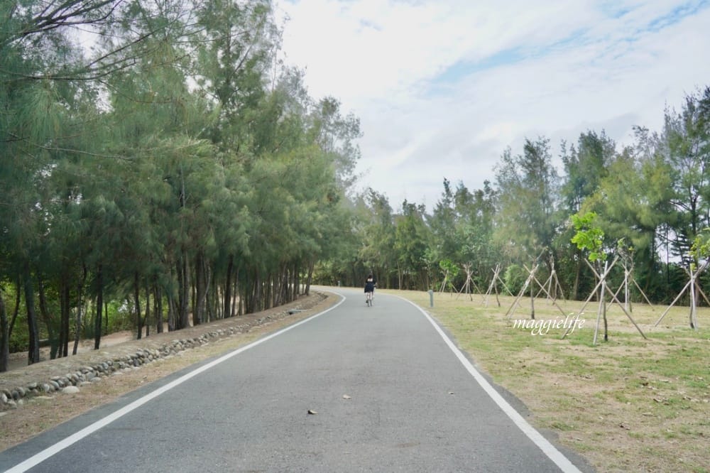 雲林口湖一日遊｜搭乘養嘉湖口幸福公車11個景點一日遊，秘境抓魚抓蝦，獨木舟，漂漂船，免費騎腳踏車遊小日月潭！不用自己開車也可以輕鬆的玩雲林！