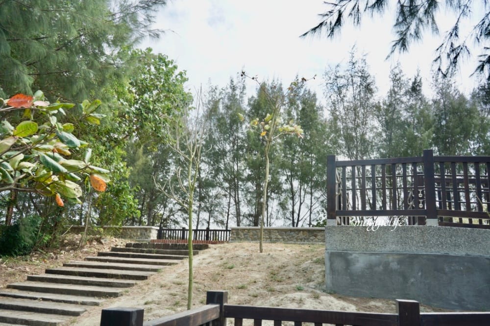 雲林口湖一日遊｜搭乘養嘉湖口幸福公車11個景點一日遊，秘境抓魚抓蝦，獨木舟，漂漂船，免費騎腳踏車遊小日月潭！不用自己開車也可以輕鬆的玩雲林！