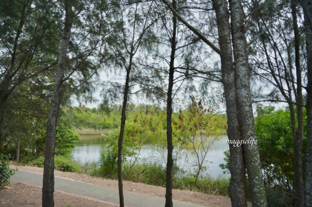 雲林景點|口湖遊客中心，免費租腳踏車遊湖，椬梧滯洪池雲林版小日月潭，免門票景點，喝下午茶吃好吃的海鮮麵！