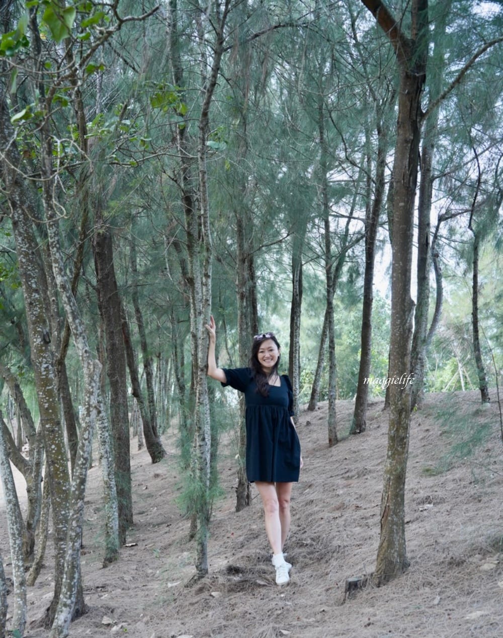 雲林景點|口湖遊客中心，免費租腳踏車遊湖，椬梧滯洪池雲林版小日月潭，免門票景點，喝下午茶吃好吃的海鮮麵！