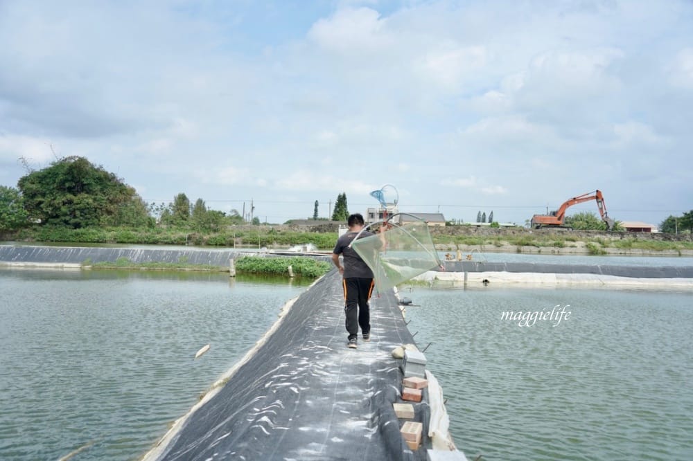 雲林口湖｜好蝦冏男社，超好玩的親子景點，撈蝦撈魚吃蝦體驗，天然養殖無毒鮮蝦，超好玩！