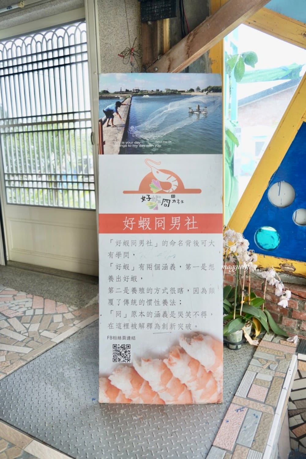 雲林口湖｜好蝦冏男社，超好玩的親子景點，撈蝦撈魚吃蝦體驗，天然養殖無毒鮮蝦，超好玩！