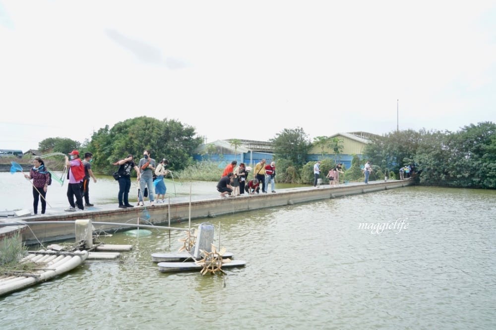 雲林口湖｜好蝦冏男社，超好玩的親子景點，撈蝦撈魚吃蝦體驗，天然養殖無毒鮮蝦，超好玩！