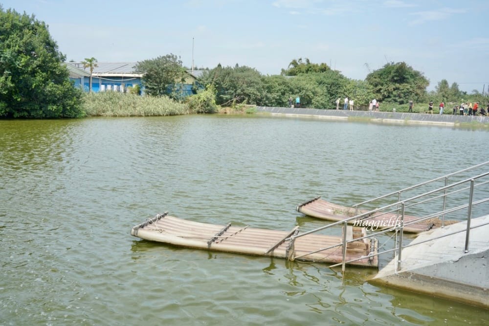 雲林口湖｜好蝦冏男社，超好玩的親子景點，撈蝦撈魚吃蝦體驗，天然養殖無毒鮮蝦，超好玩！