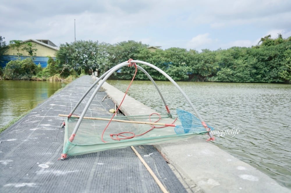 雲林口湖｜好蝦冏男社，超好玩的親子景點，撈蝦撈魚吃蝦體驗，天然養殖無毒鮮蝦，超好玩！