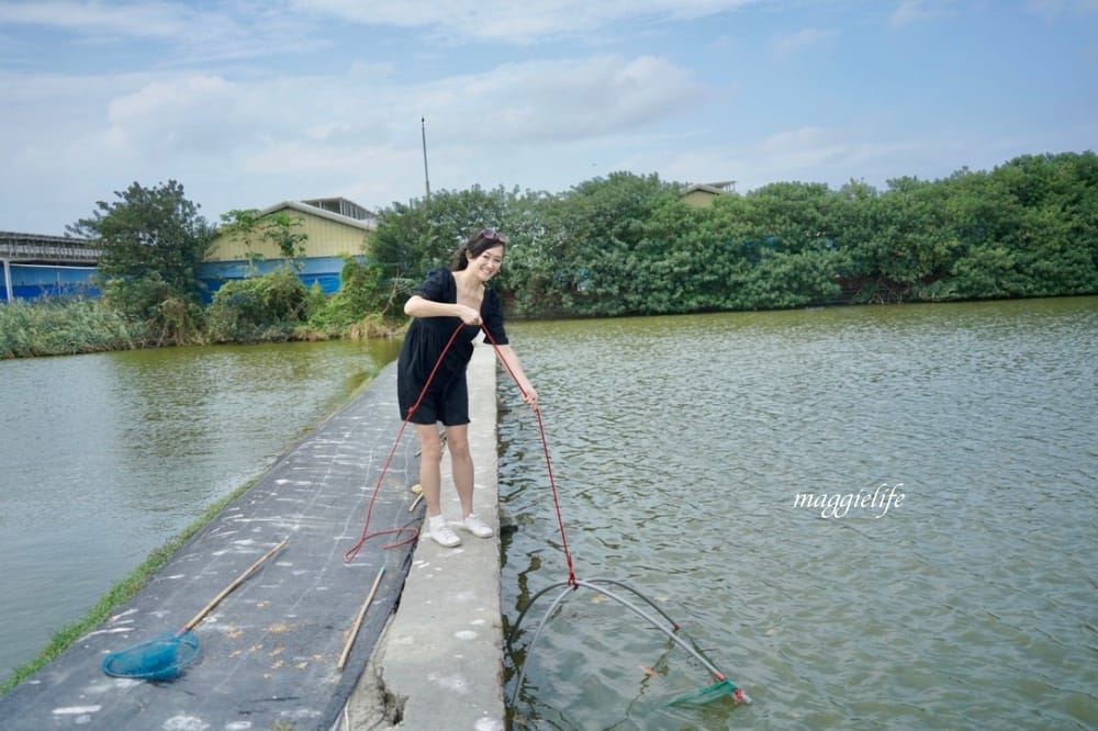 雲林口湖｜好蝦冏男社，超好玩的親子景點，撈蝦撈魚吃蝦體驗，天然養殖無毒鮮蝦，超好玩！