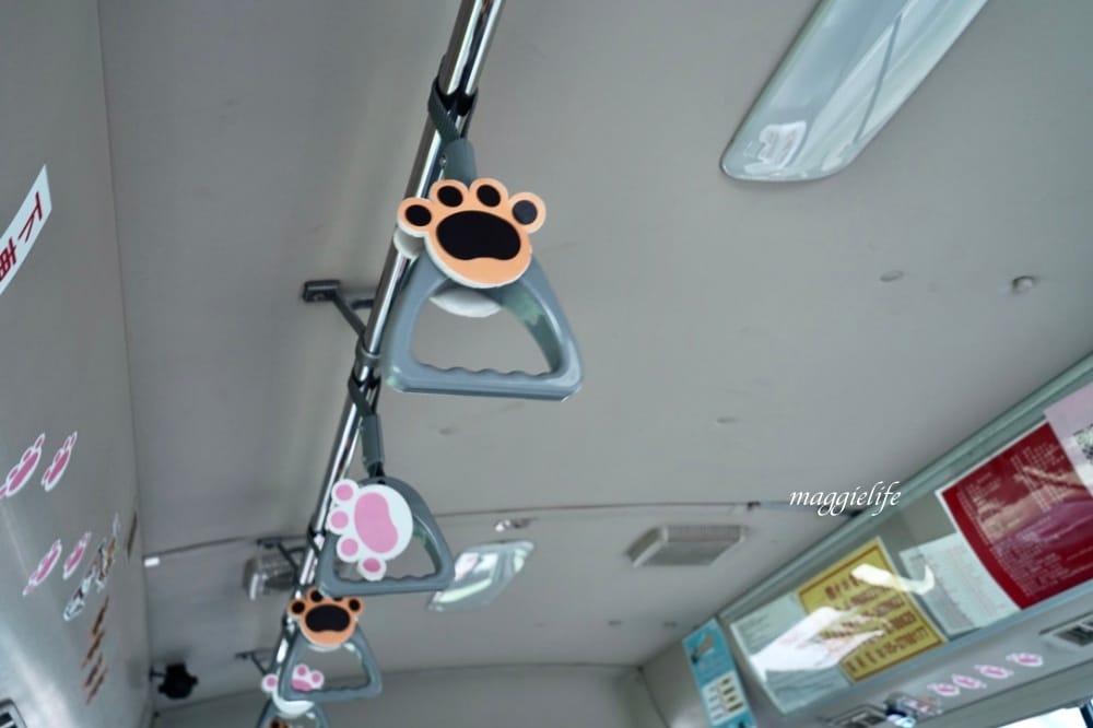 雲林口湖一日遊｜搭乘養嘉湖口幸福公車11個景點一日遊，秘境抓魚抓蝦，獨木舟，漂漂船，免費騎腳踏車遊小日月潭！不用自己開車也可以輕鬆的玩雲林！