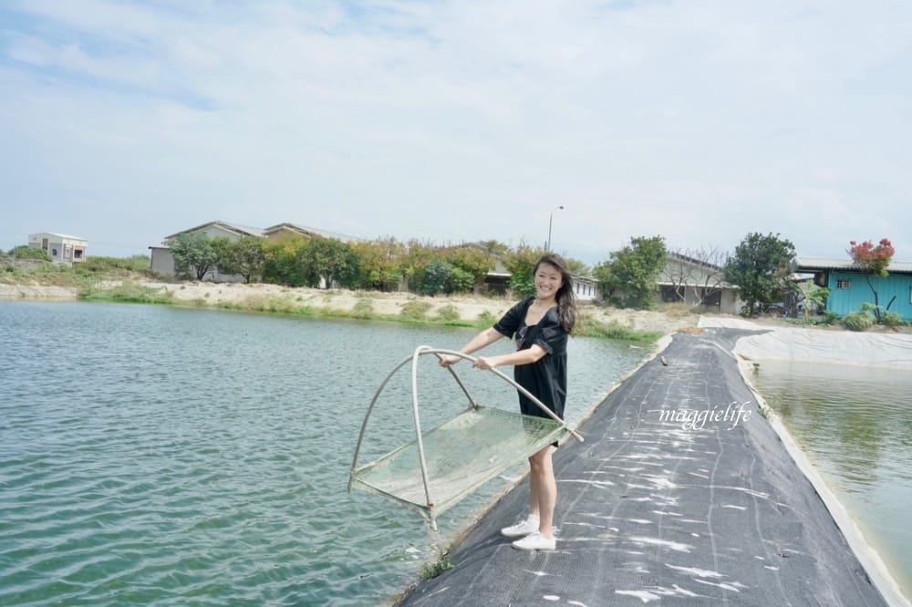 雲林口湖｜好蝦冏男社，超好玩的親子景點，撈蝦撈魚吃蝦體驗，天然養殖無毒鮮蝦，超好玩！