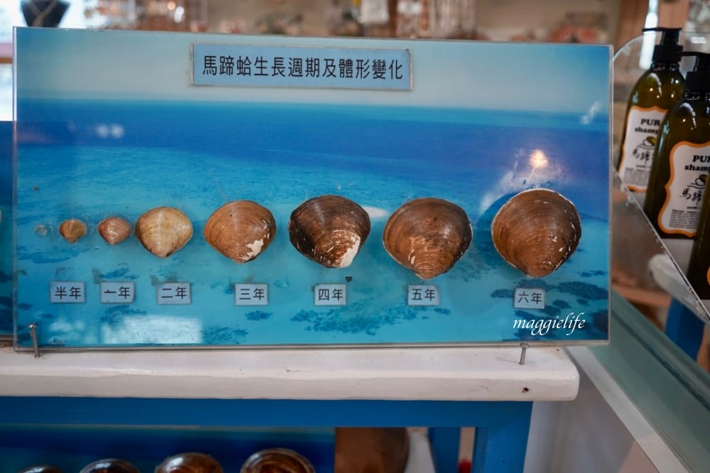 馬蹄蛤主題館海水水上遊樂場,100元不限時間,可以摸蜆採海菜,水上鞦韆,獨木舟,划竹筏 - 第46張圖 馬蹄蛤主題館海水水上遊樂場,100元不限時間,可以摸蜆採海菜,水上鞦韆,獨木舟,划竹筏