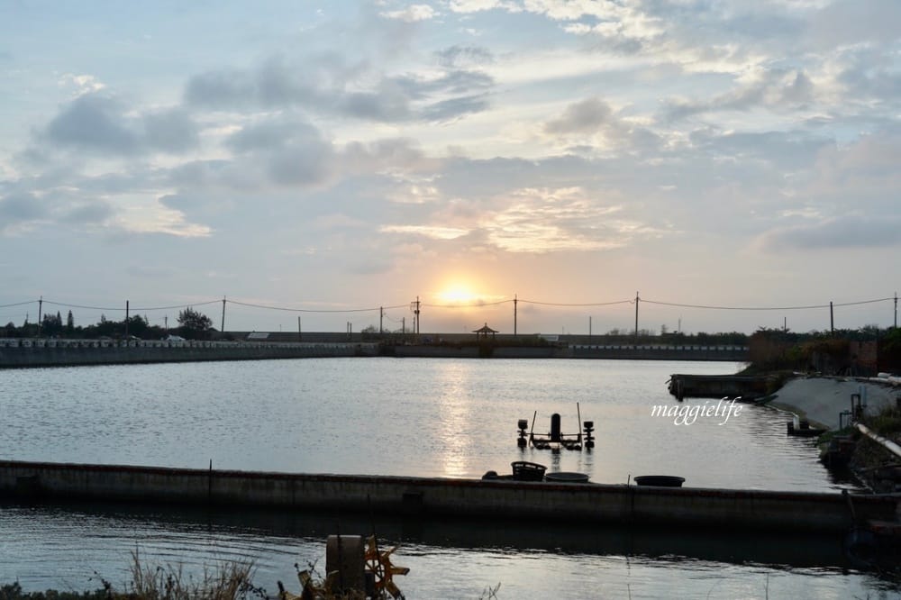 馬蹄蛤主題館海水水上遊樂場,100元不限時間,可以摸蜆採海菜,水上鞦韆,獨木舟,划竹筏 - 第50張圖 馬蹄蛤主題館海水水上遊樂場,100元不限時間,可以摸蜆採海菜,水上鞦韆,獨木舟,划竹筏