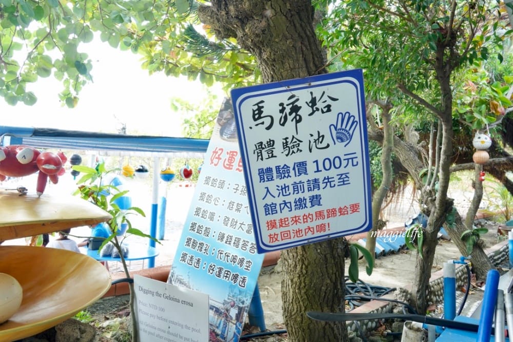 馬蹄蛤主題館海水水上遊樂場,100元不限時間,可以摸蜆採海菜,水上鞦韆,獨木舟,划竹筏 - 第13張圖 馬蹄蛤主題館海水水上遊樂場,100元不限時間,可以摸蜆採海菜,水上鞦韆,獨木舟,划竹筏