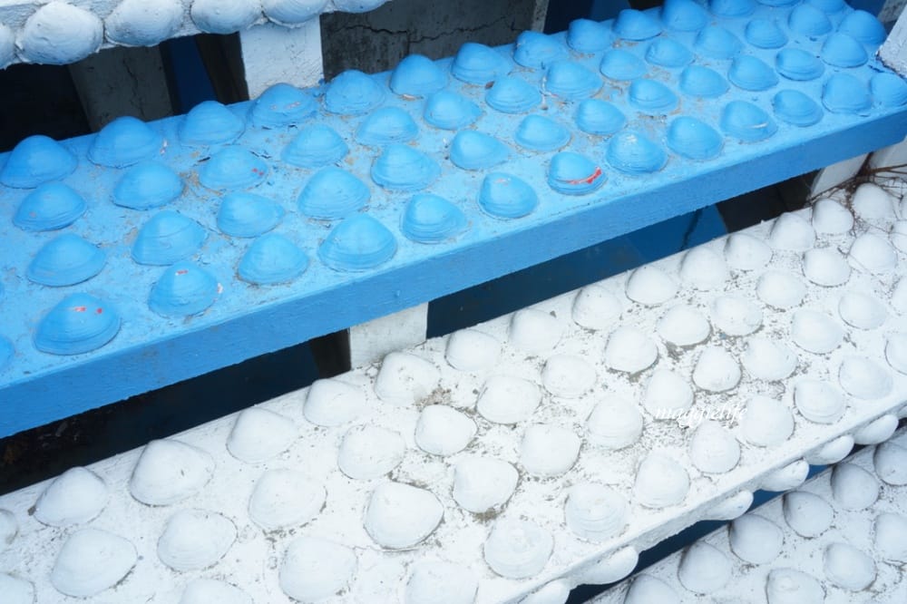 馬蹄蛤主題館海水水上遊樂場,100元不限時間,可以摸蜆採海菜,水上鞦韆,獨木舟,划竹筏 - 第8張圖 馬蹄蛤主題館海水水上遊樂場,100元不限時間,可以摸蜆採海菜,水上鞦韆,獨木舟,划竹筏